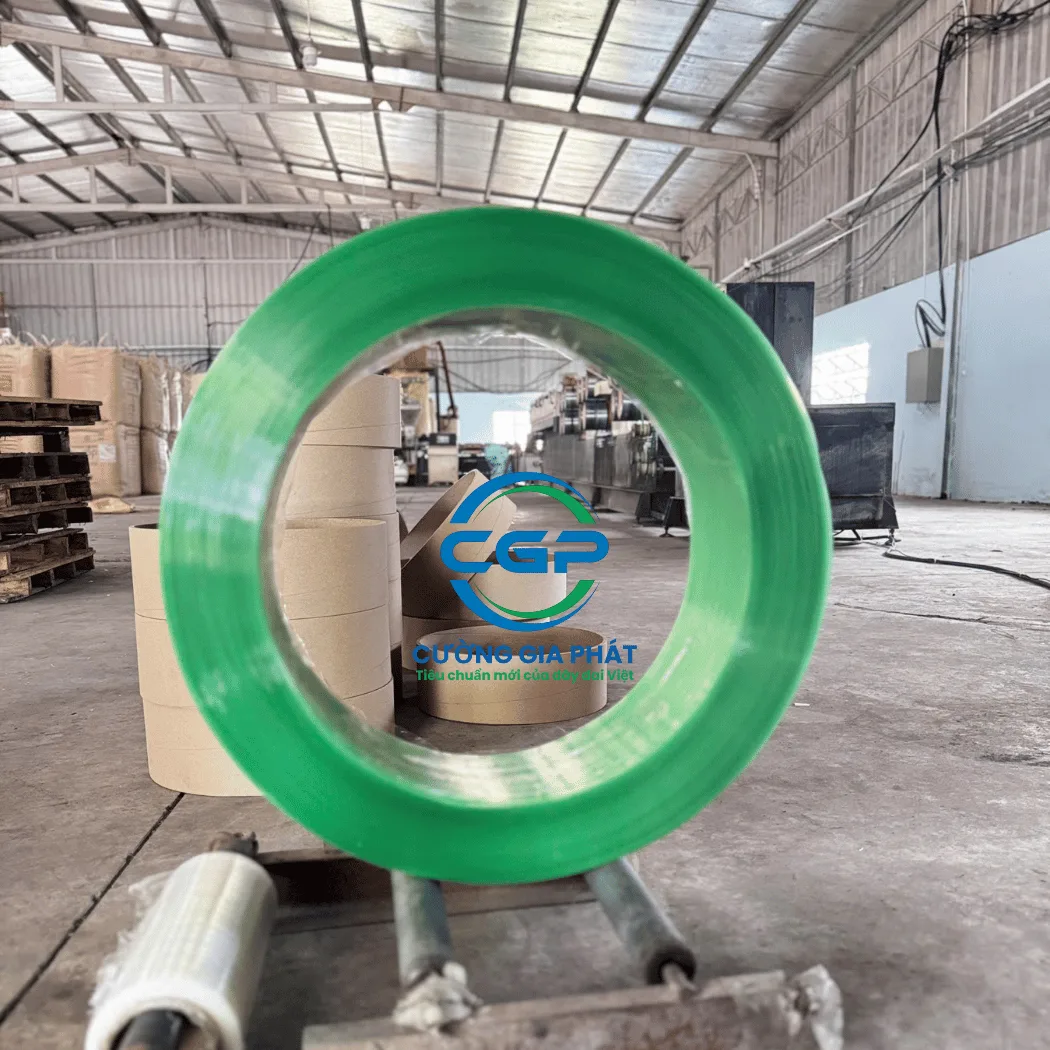 day-dai-nhua-pet-xanh-nhat (3)